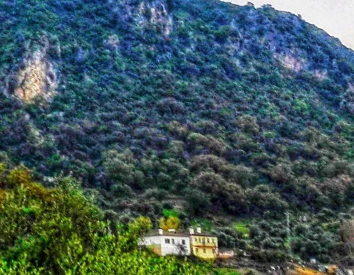 Alto De Torrecillas El Bosque Exteriör bild